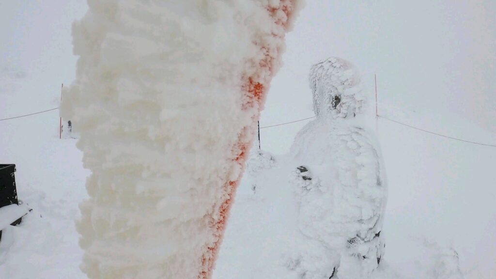 【ZAOの新雪エリア めっちゃ楽しい】12月山形蔵王温泉スキー場　yamagatazao-powdersnow-area-DEC.jpg